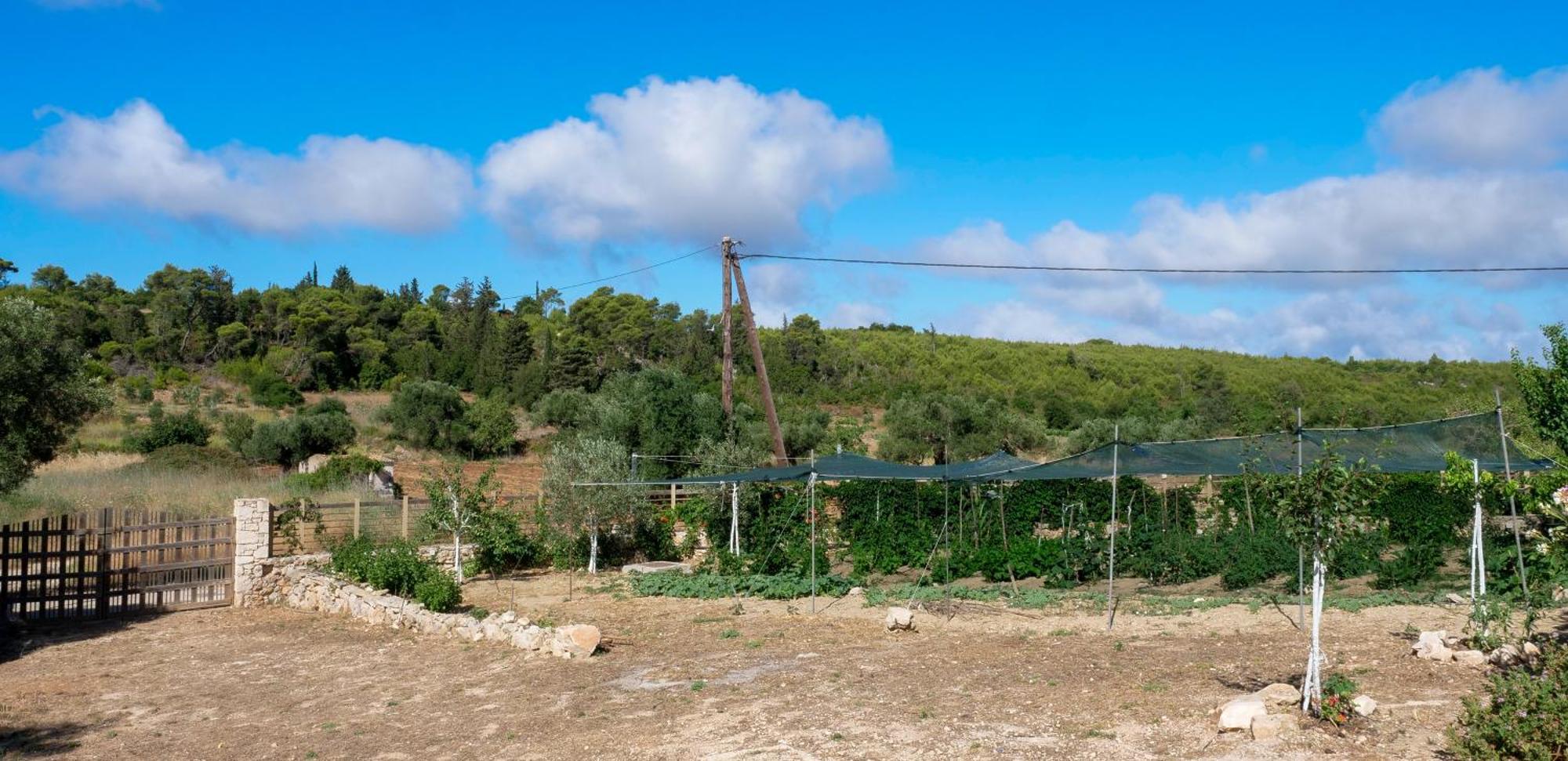 Fterini Apartments Sterna & Alletri Agios Leon Exterior foto